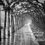 Paseo del Espolón Burgos