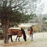 El caballo - cuentos